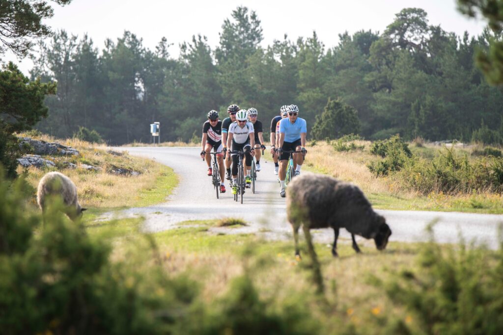 Allt du behöver veta inför Gotland360-helgen 2025