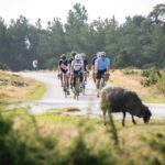 Allt du behöver veta inför Gotland360-helgen 2025