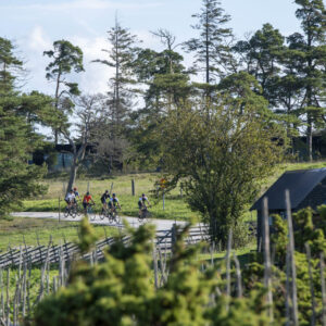 Gotland360 inkl. middag