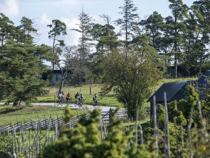 Gotland360-250913-186-scaled