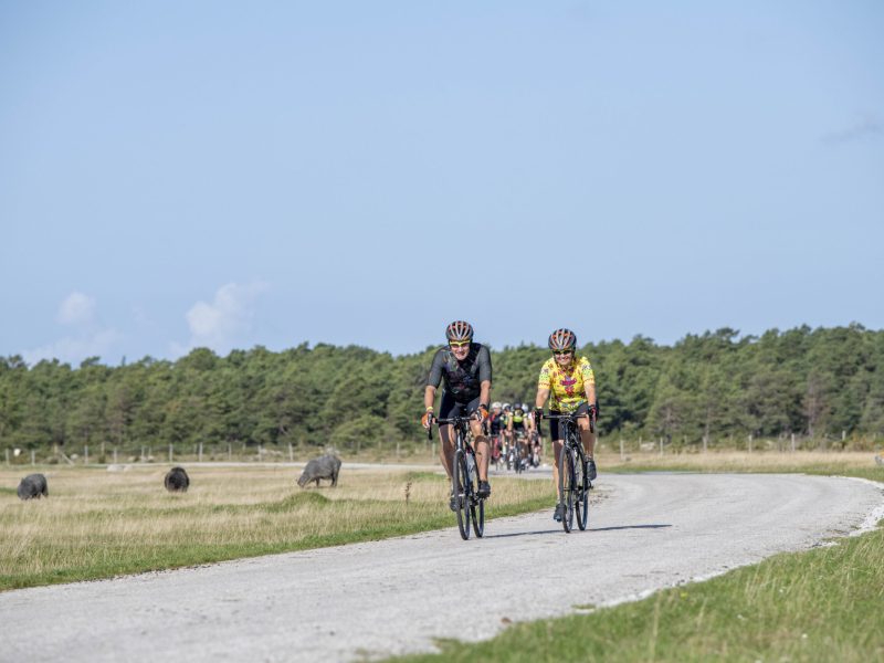 Gotland360-250913-367-scaled